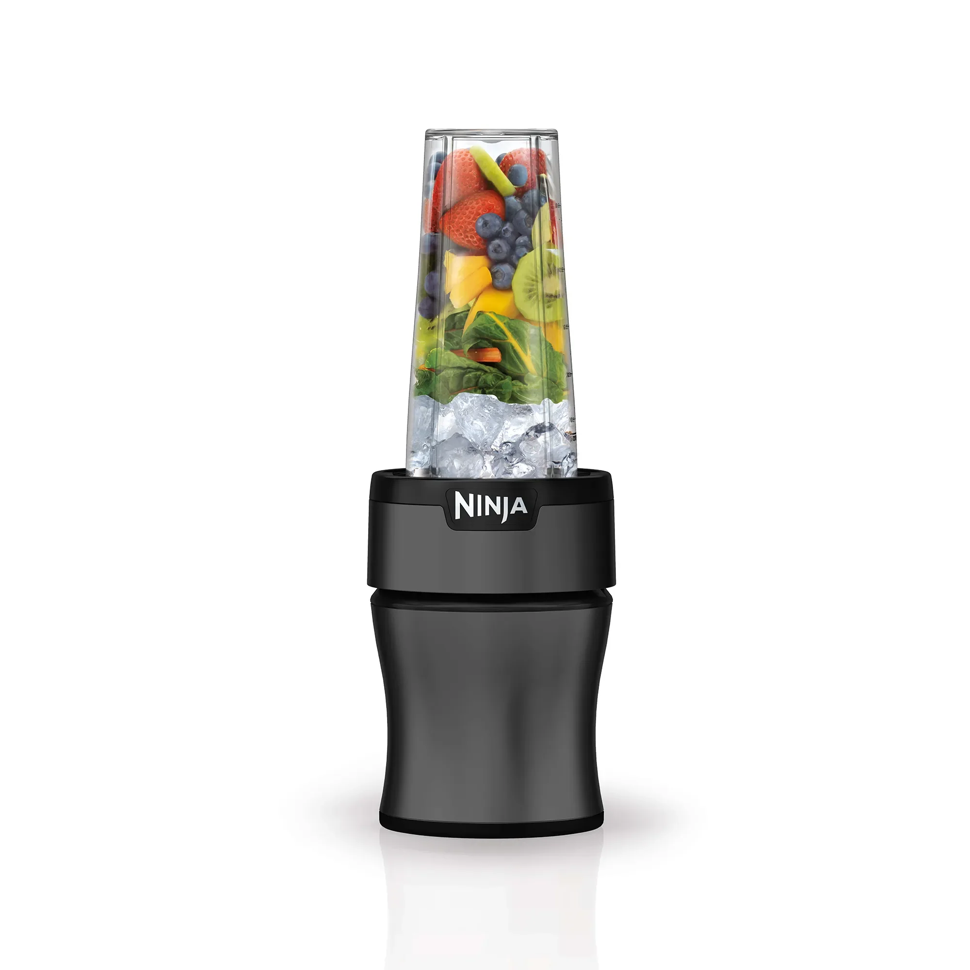 Ninja Nutri Precision Blender