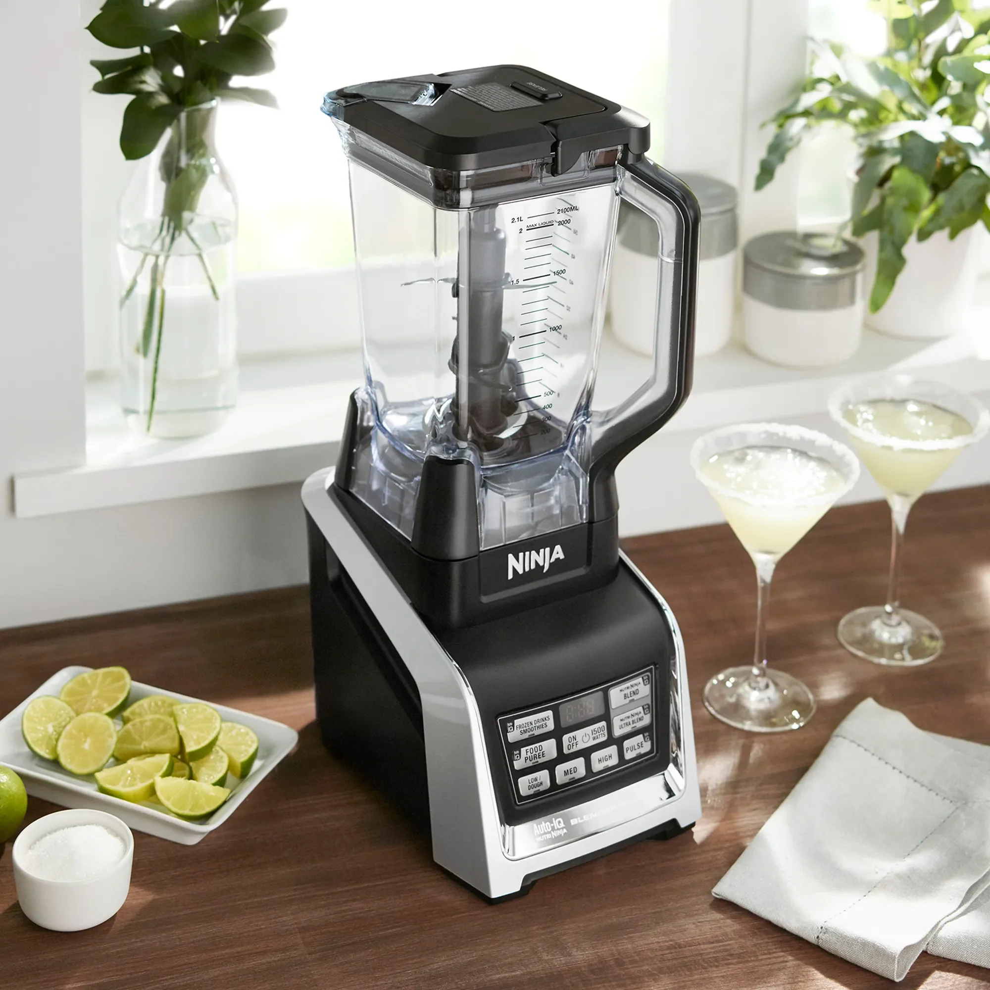 Ninja Blender Duo with Auto-IQ