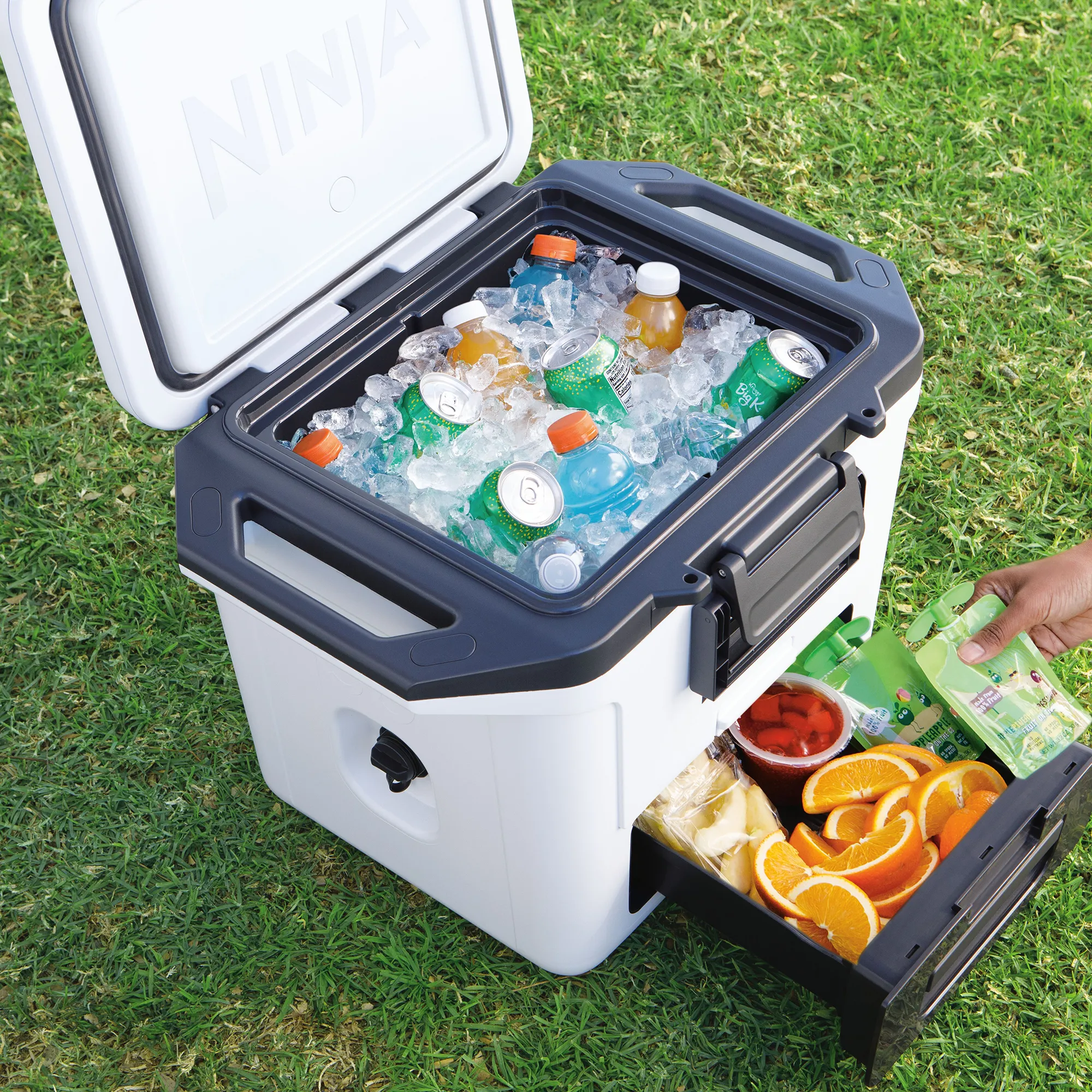 Ninja FrostVault 28L Hard Cooler with Dry Zone 30 Ninja FrostVault 28L Hard Cooler with Dry Zone